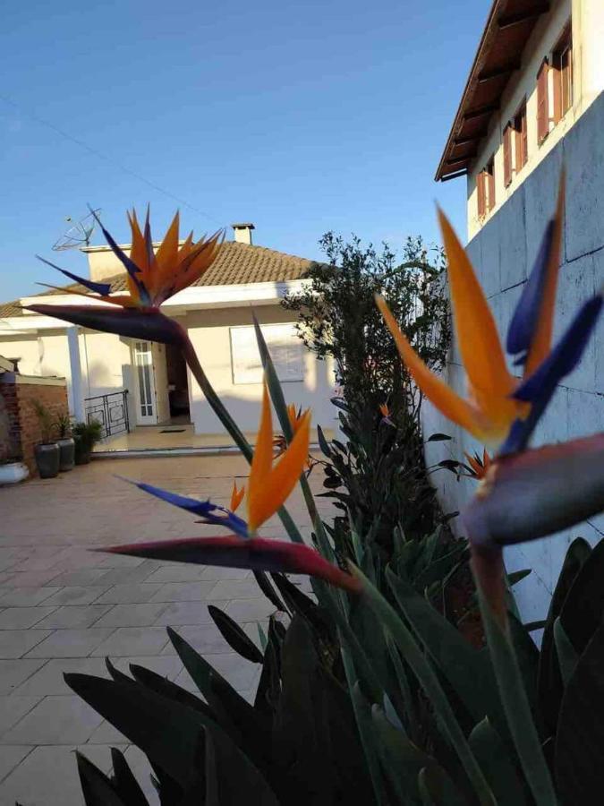 Casa Em Bairro Nobre, Bem Localizada, Com Suite. Bento Gonçalves المظهر الخارجي الصورة